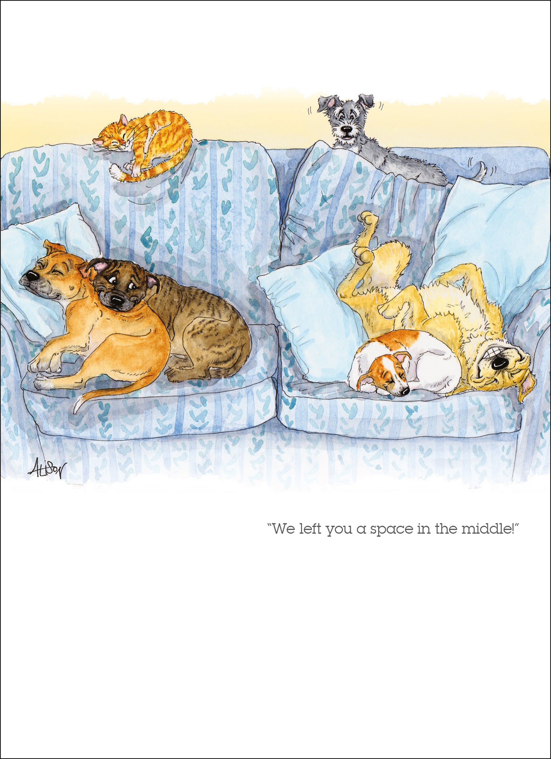 otter-house-alison-s-animals-we-left-you-a-space-gru-karte-tiere image 1