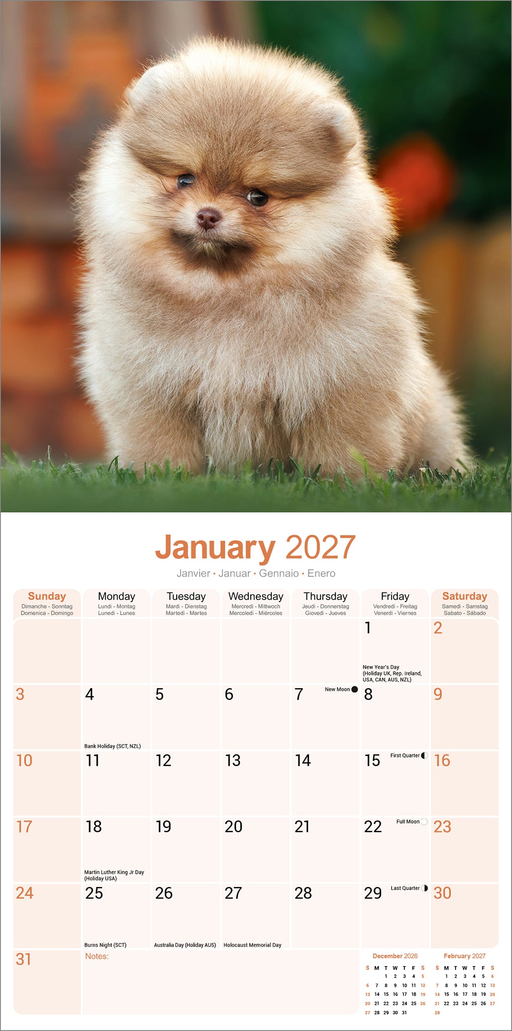 otter-house-pomeranian-wandkalender-2027-hunde image 3