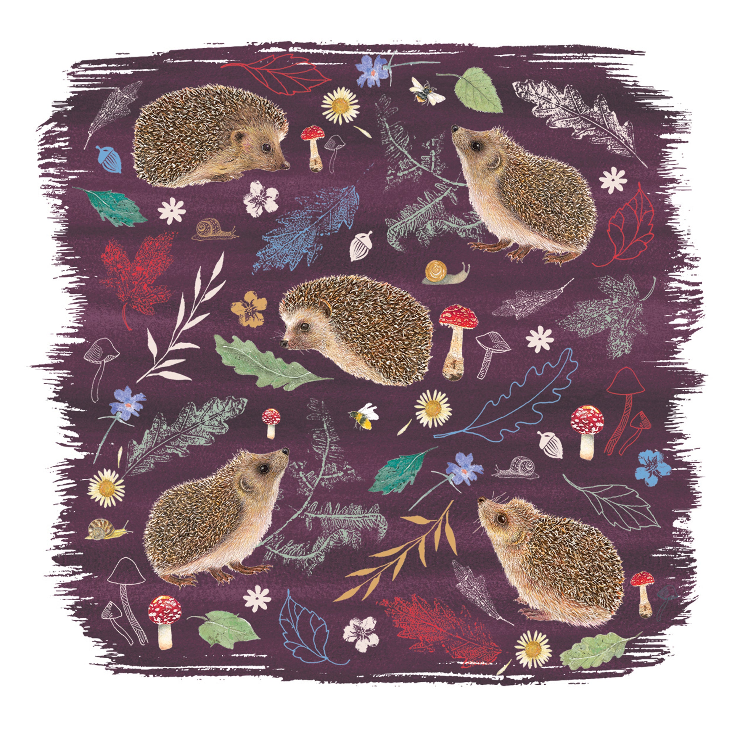 otter-house-beyond-hedgerow-klappkarten-igel-10er-pack image 2