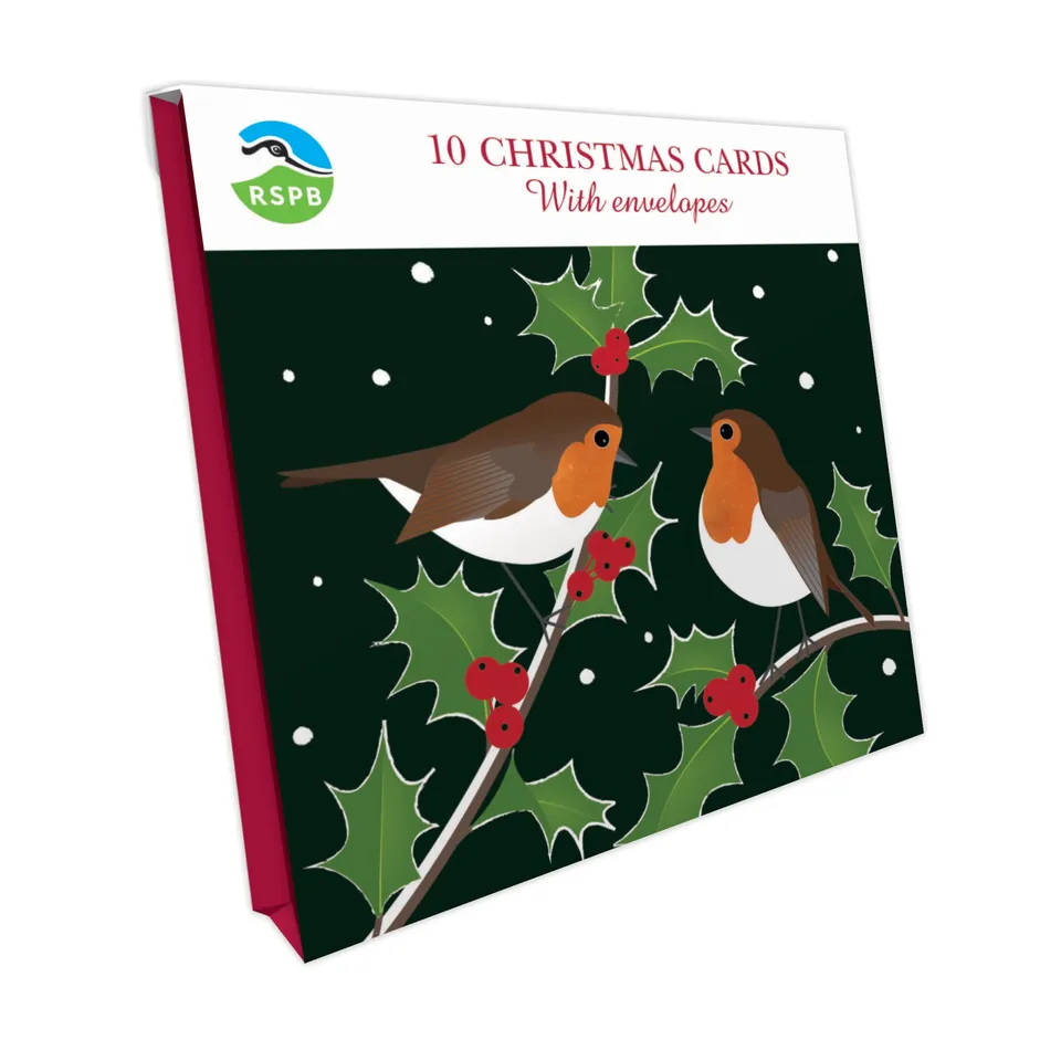 otter-house-christmas-weihnachtskarten-robins-holly-10er-pack image 1