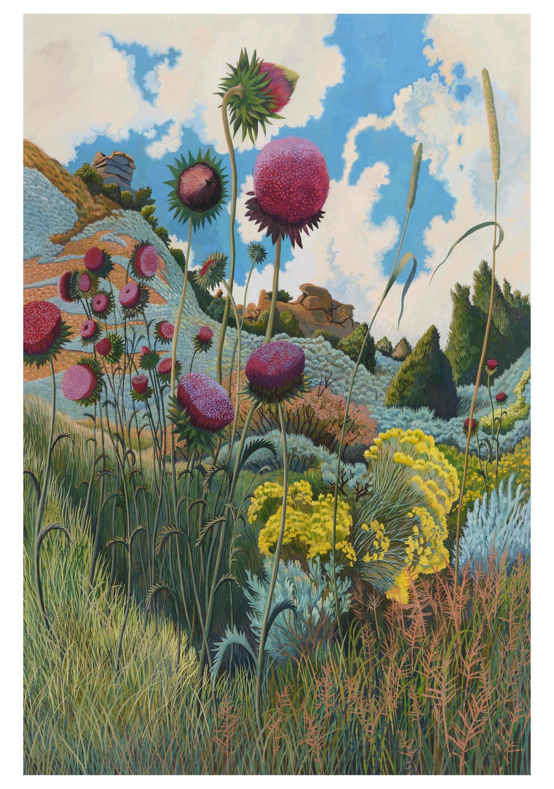pomegranate-phyllis-shafer-klappkarten-box-20-st-ck-landschaft image 3
