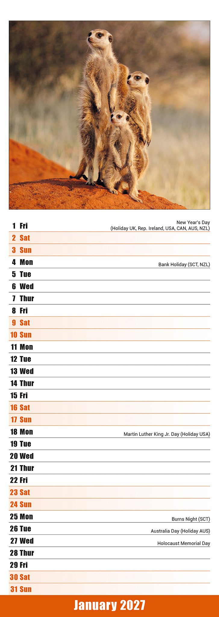 otter-house-meerkats-slim-calendar-2027-erdm-nnchen image 3