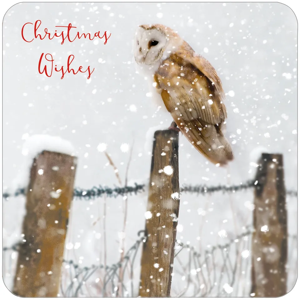 otter-house-rspb-watching-waiting-weihnachtskarten-10er-v-gel image 1