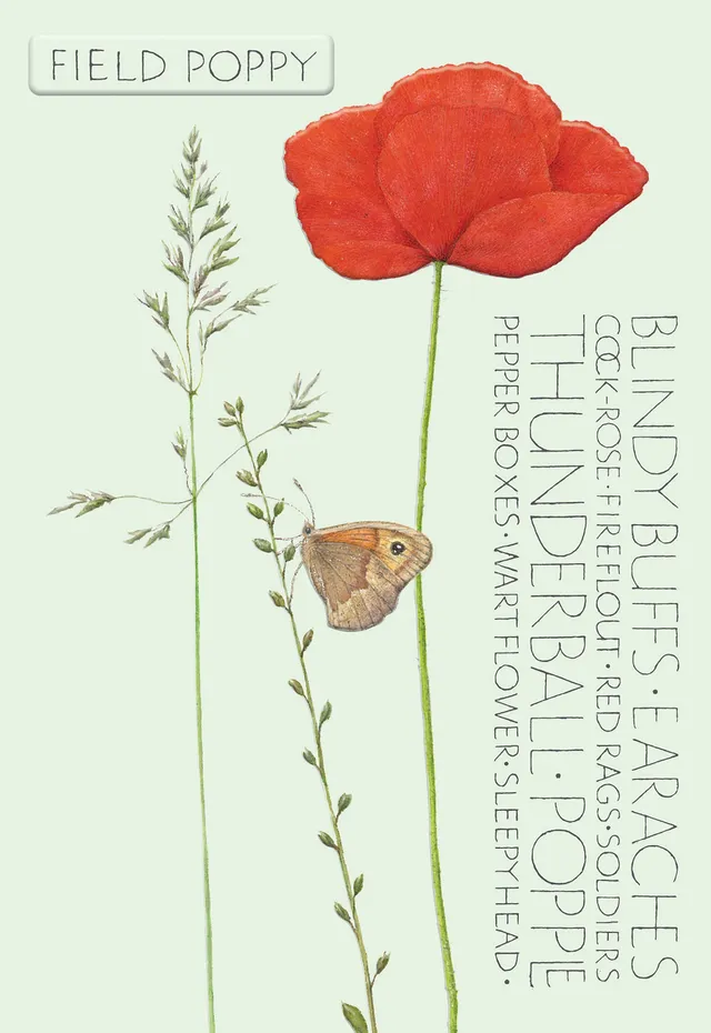 otter-house-naming-of-a-flower-field-poppy-gru-karte-mohn image 1