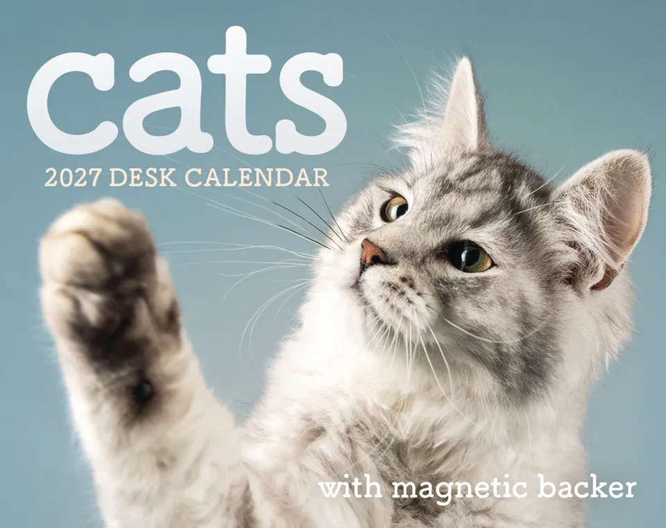 otter-house-cats-mini-box-kalender-2027-tischkalender image 1
