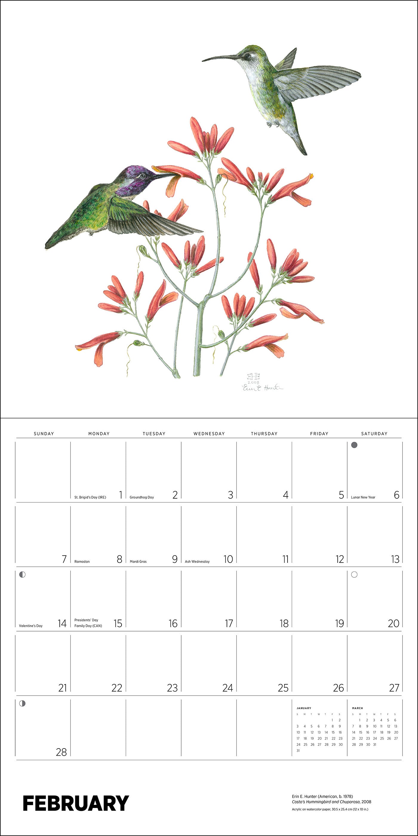 pomegranate-pollinators-2027-wandkalender-erin-hunter image 4