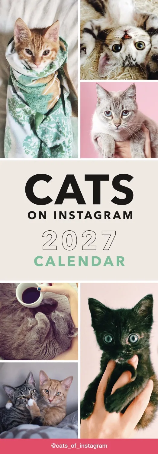 otter-house-cats-on-instagram-slim-kalender-2027 image 1