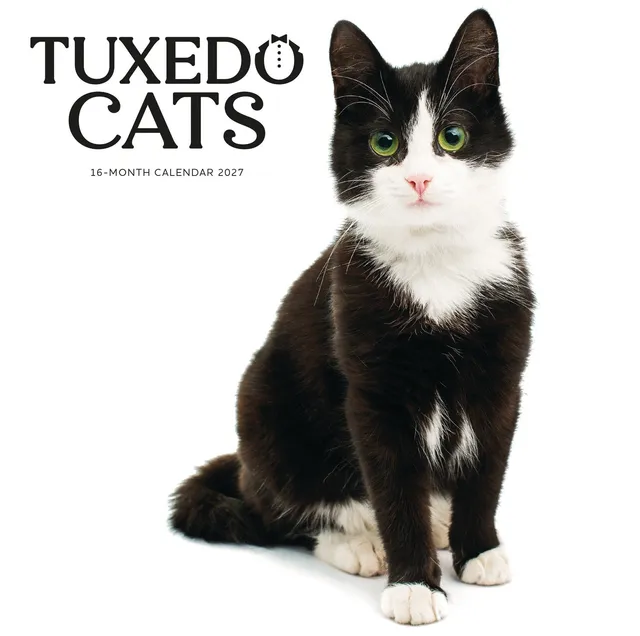otter-house-tuxedo-cats-wandkalender-2027-katzen image 1