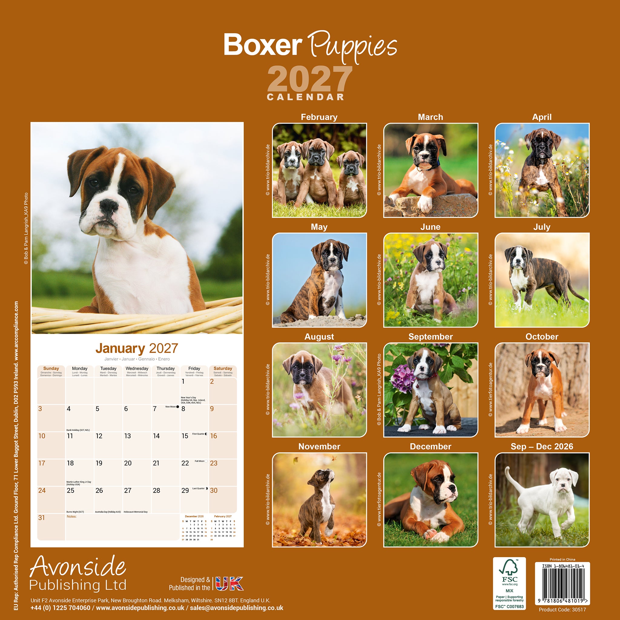 otter-house-boxer-puppies-wandkalender-2027-hunde image 2