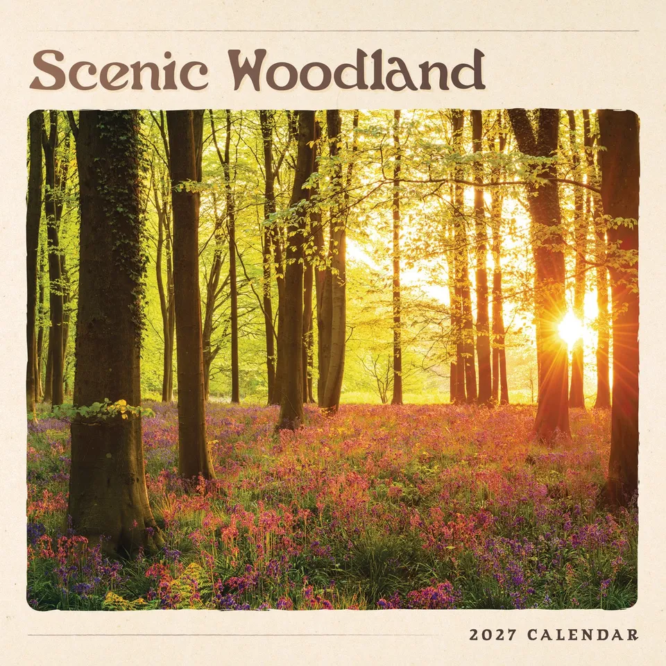 otter-house-scenic-woodland-wandkalender-2027-natur-wald image 1