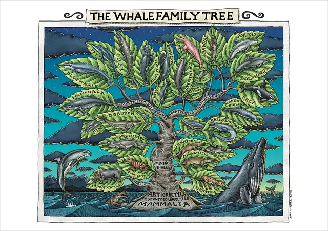 pomegranate-blank-notecards-ray-troll-whale-klappkarte-blanko-wale image 1
