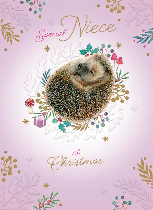 otter-house-christmas-weihnachtskarte-nichte-igel-einzel image 1