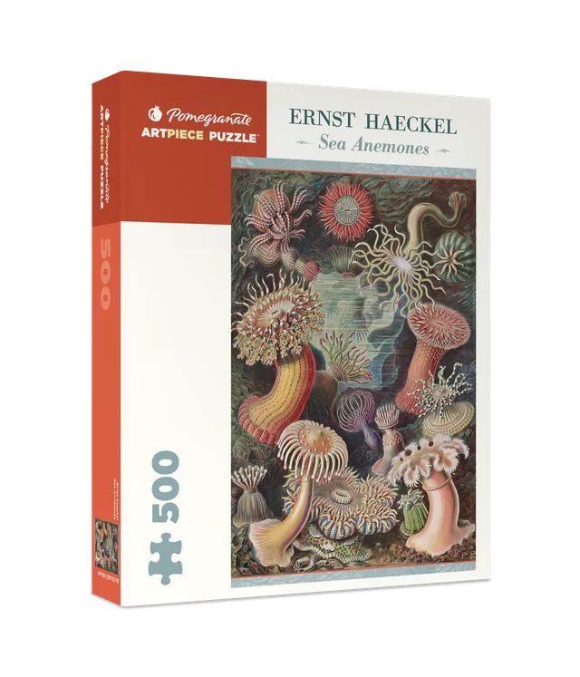 pomegranate-ernst-haeckel-seeanemonen-puzzle-500-teile image 1