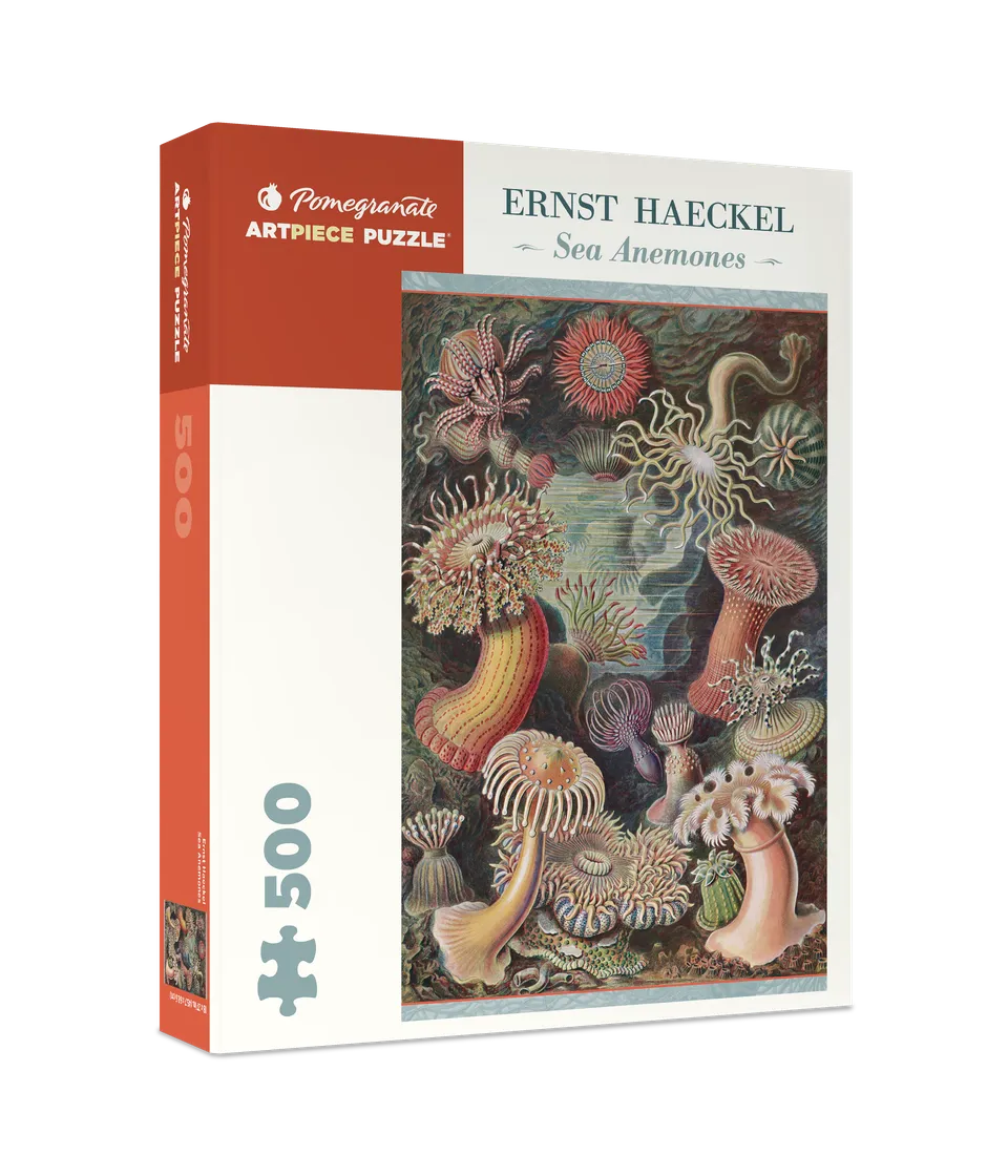pomegranate-ernst-haeckel-seeanemonen-puzzle-500-teile image 1