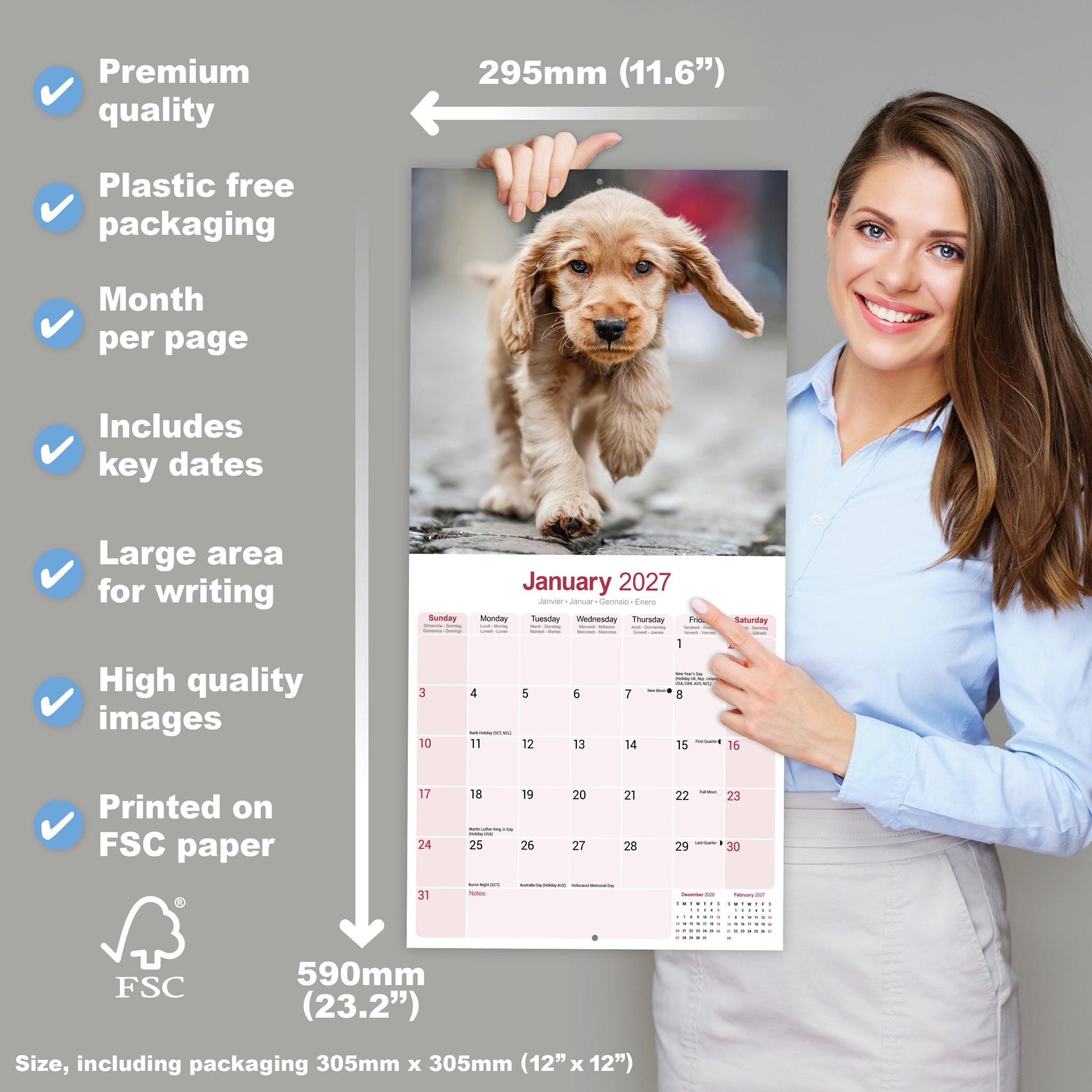 otter-house-cocker-spaniel-wandkalender-2027-hunde image 4