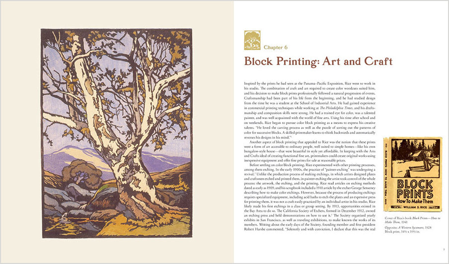 pomegranate-william-s-rice-art-life-kunstbuch image 3
