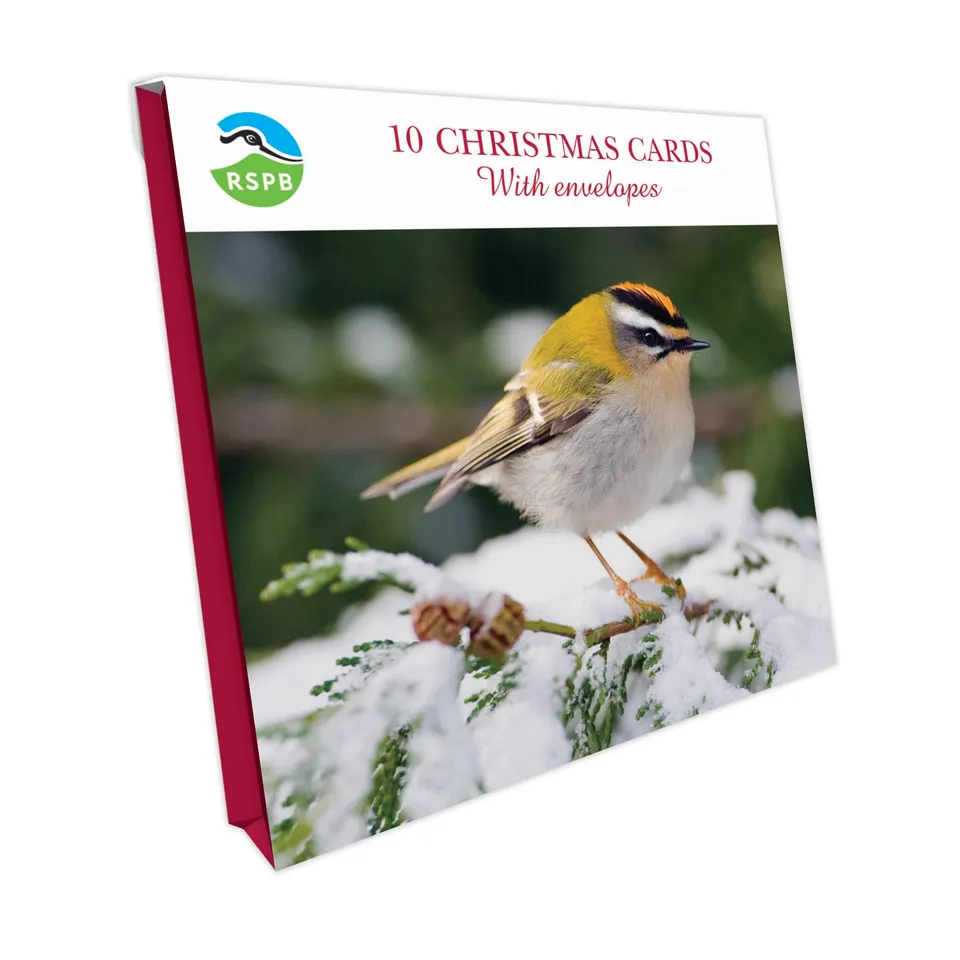 otter-house-christmas-winter-firecrest-weihnachtskarten-10er-pack image 1