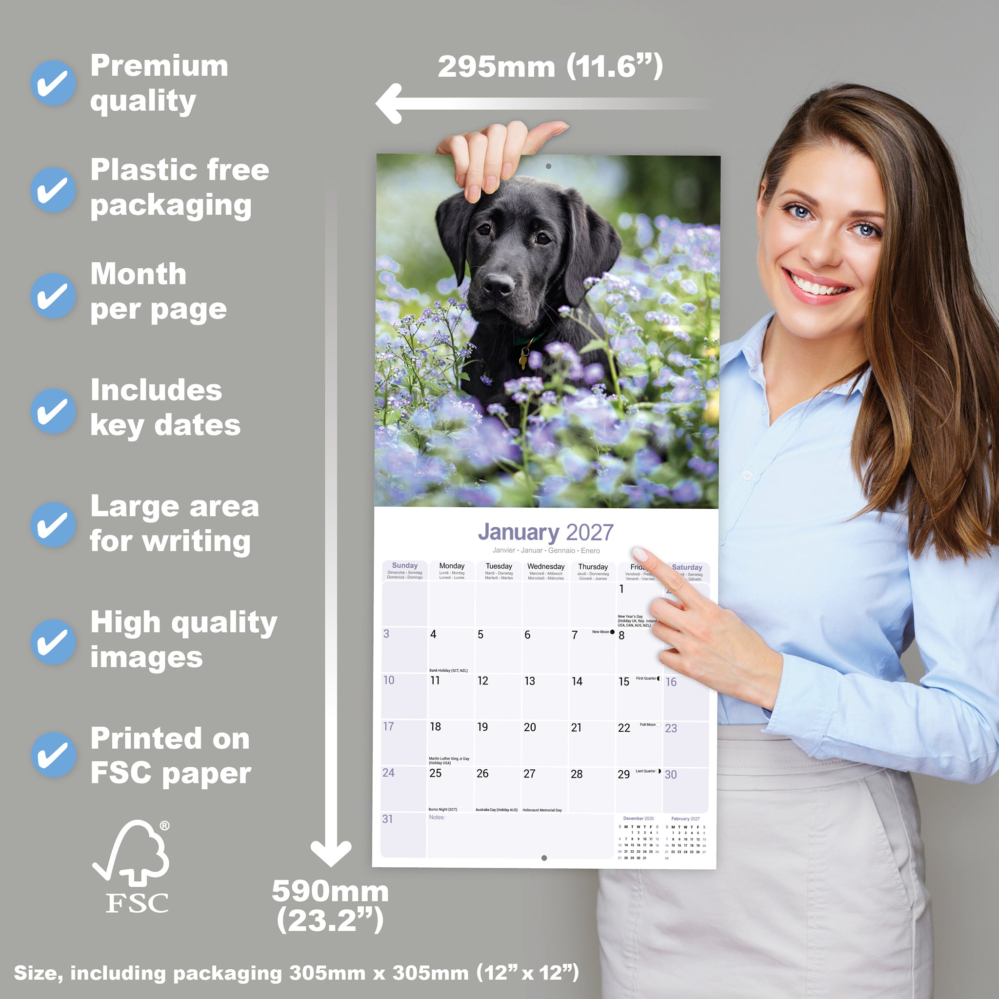 otter-house-labrador-retriever-black-wandkalender-2027-hunde image 4