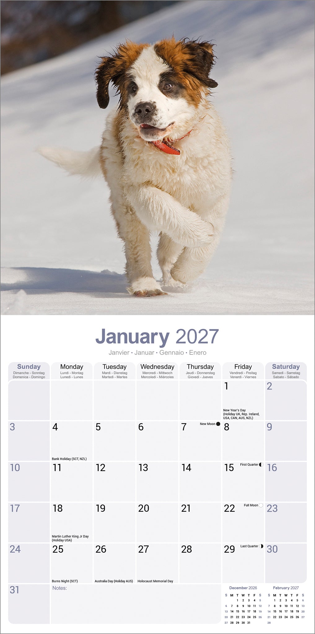 otter-house-saint-bernard-wandkalender-2027-hunde image 2