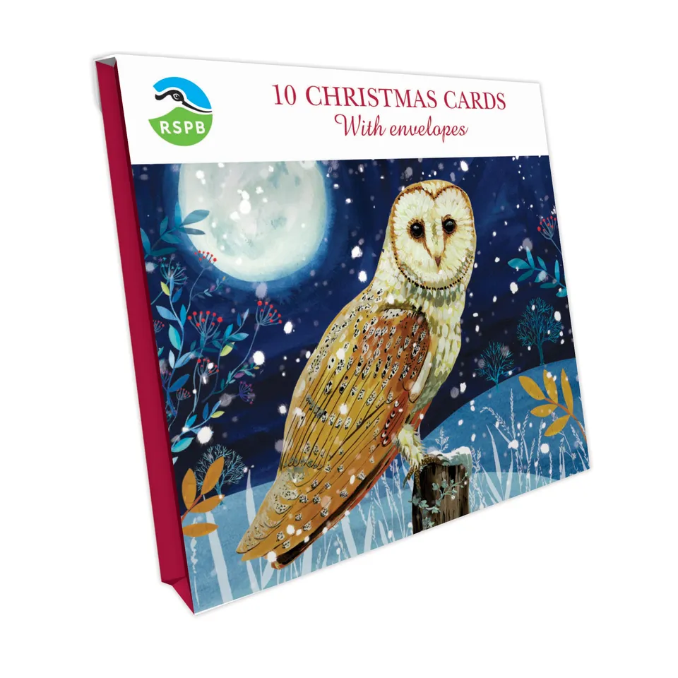 otter-house-weihnachtskarten-eule-10er-pack-rspb-klein-quadratisch image 1