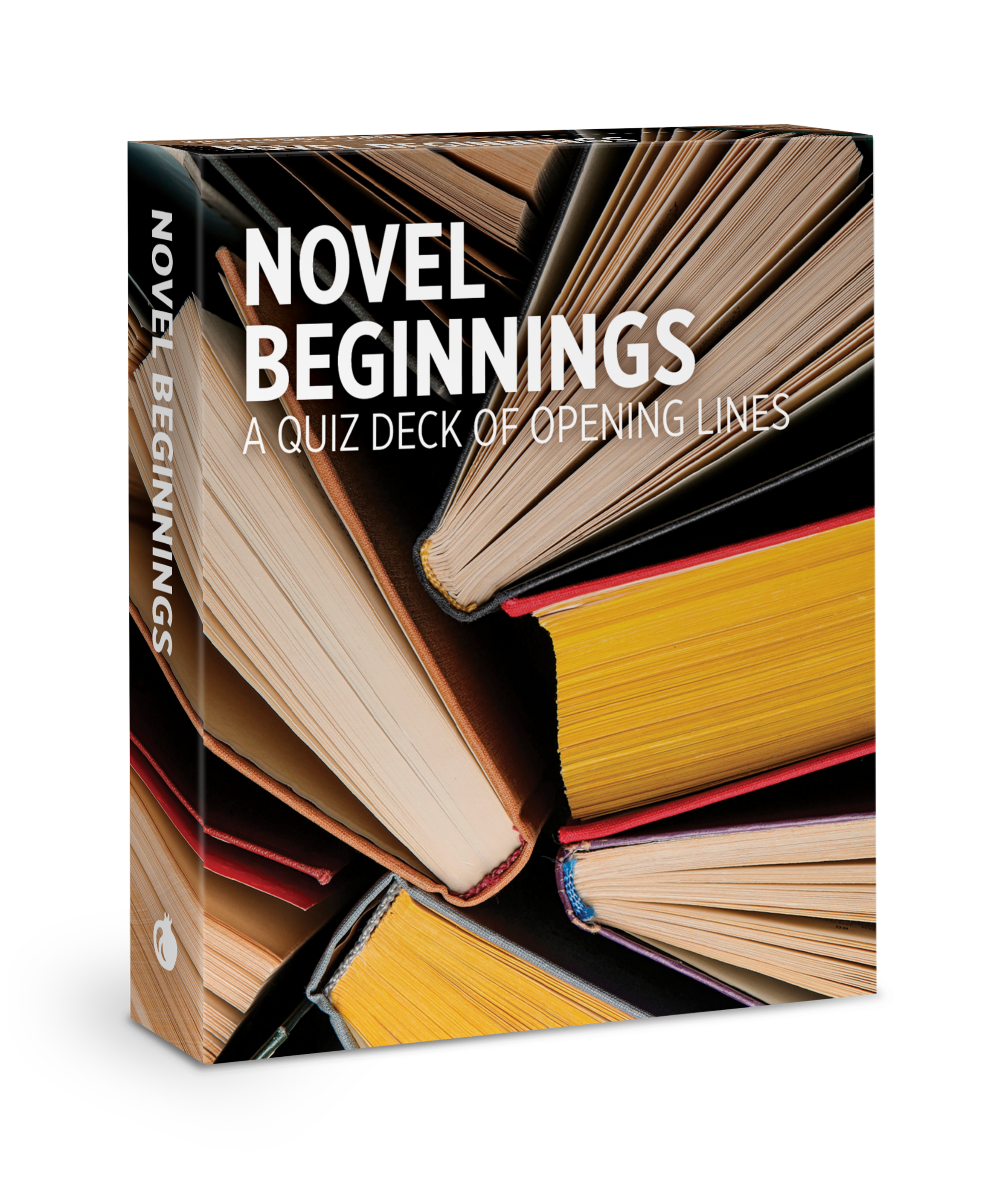 pomegranate-knowledge-cards-novel-beginnings-quizdeck-48-karten image 1