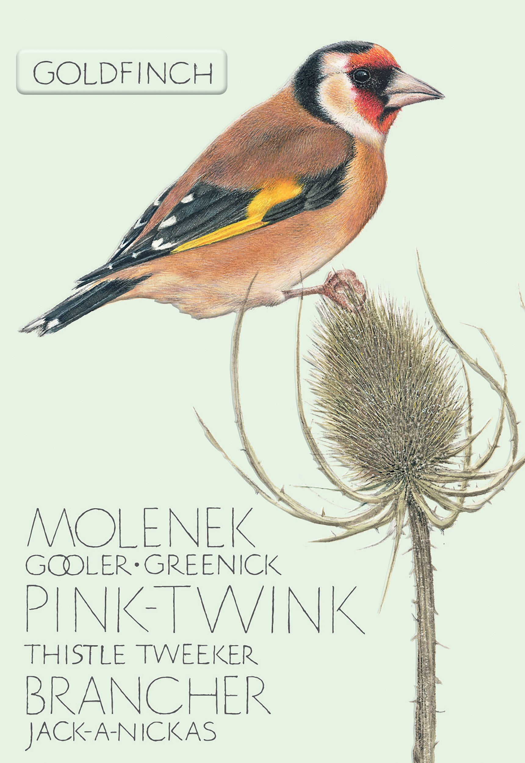 otter-house-vogelkarte-goldfinch-stieglitz-gru-karte image 1