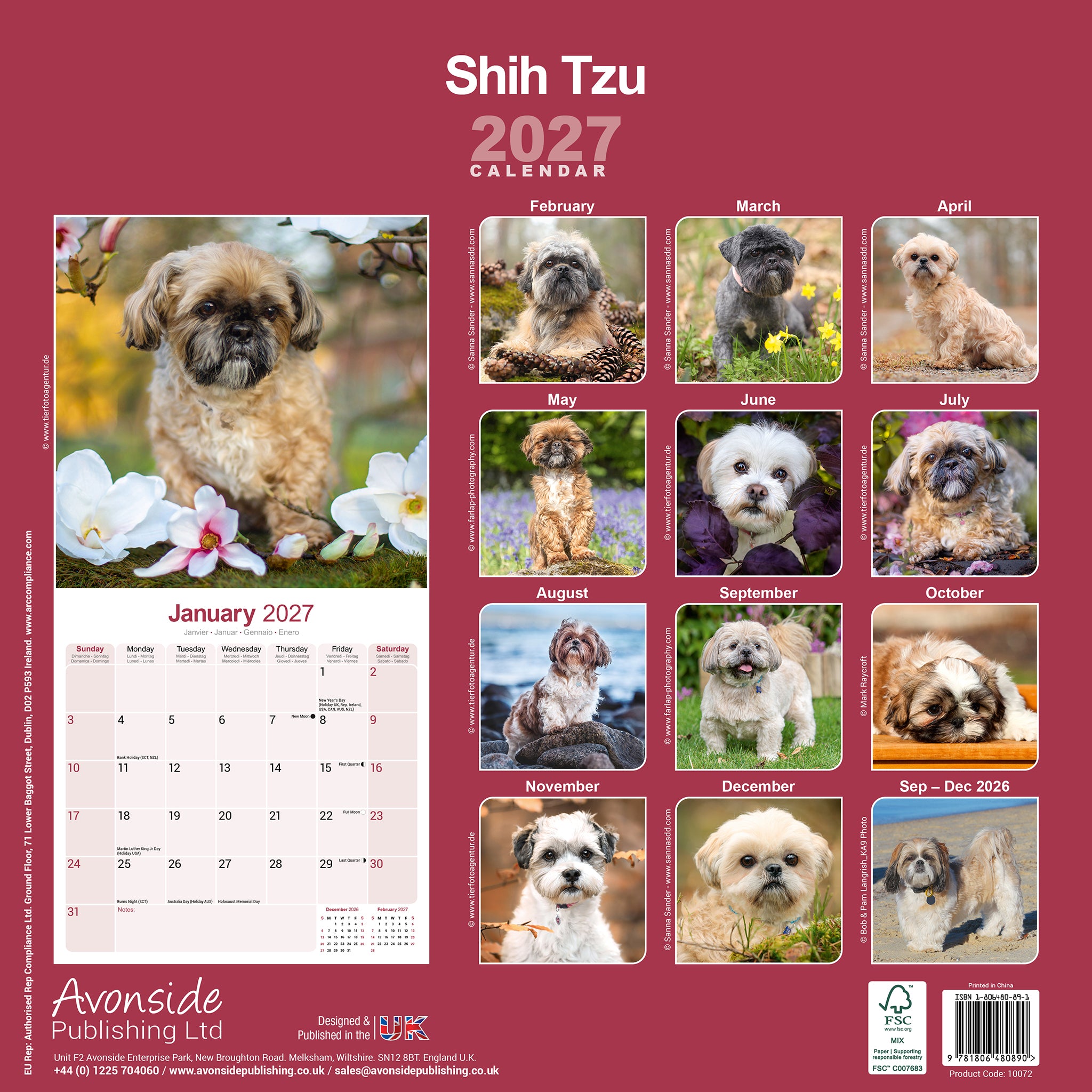 otter-house-shih-tzu-wandkalender-2027-hunde image 2