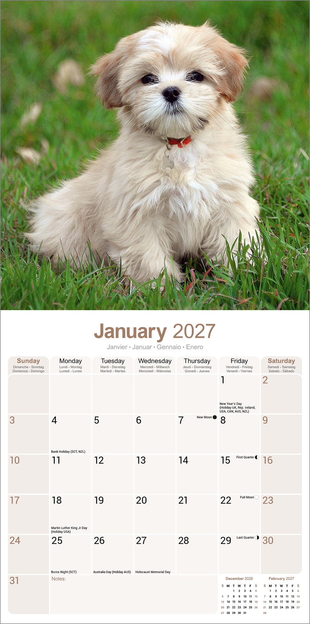 otter-house-lhasa-apso-wandkalender-2027-hunde image 3