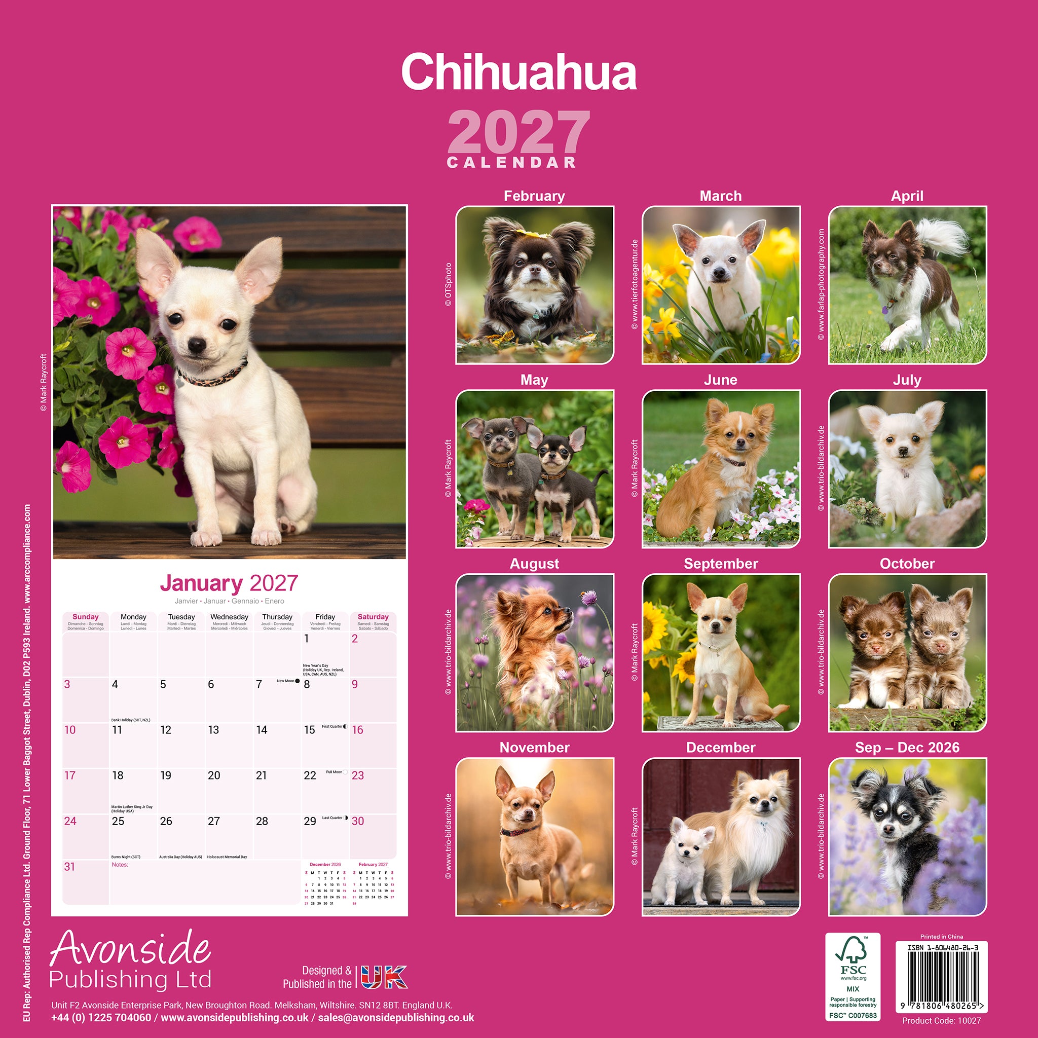 otter-house-chihuahua-wandkalender-2027-hunde-12-motive image 2