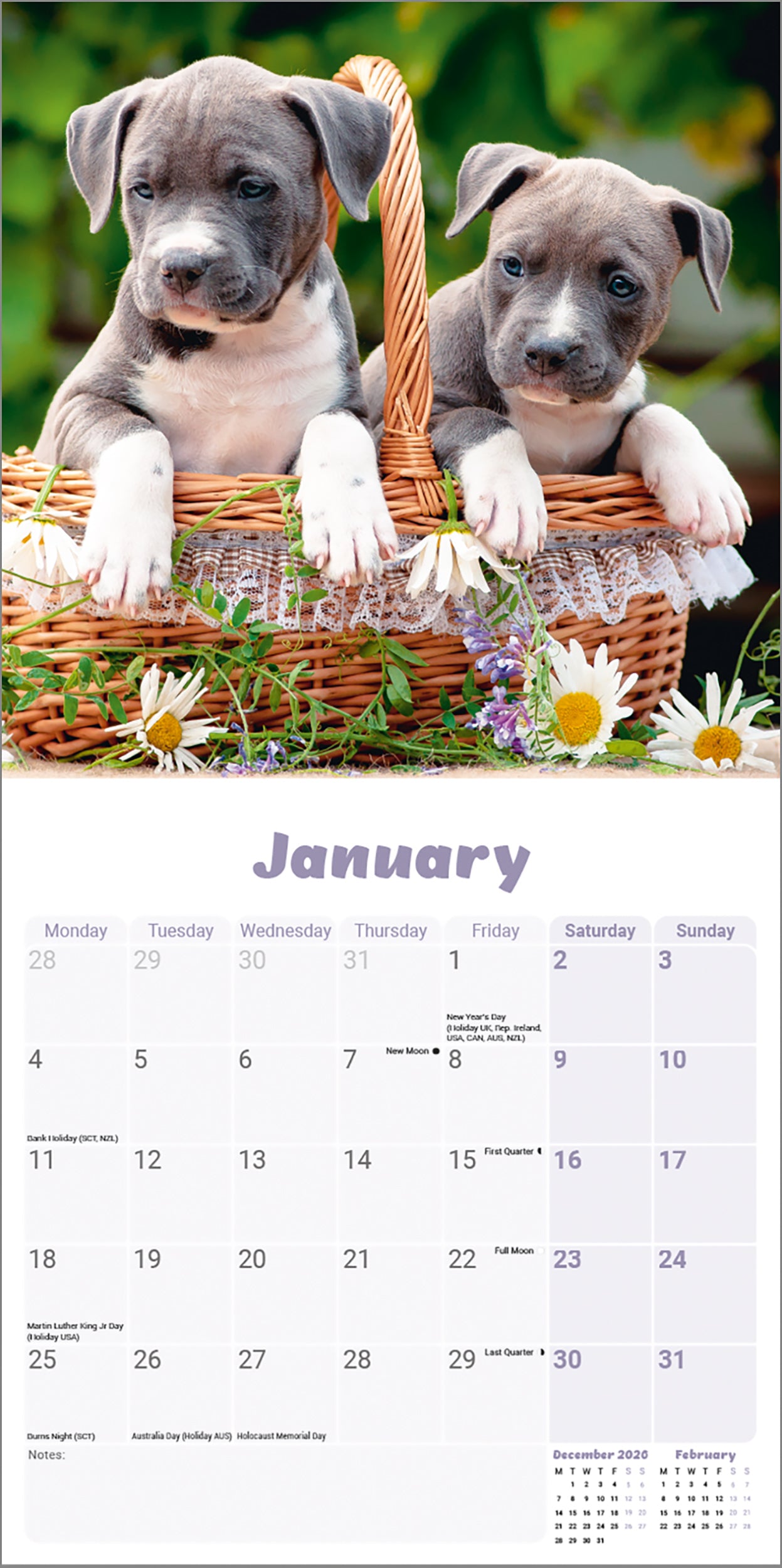 otter-house-staff-bull-terrier-mini-wandkalender-2027-hunde image 3