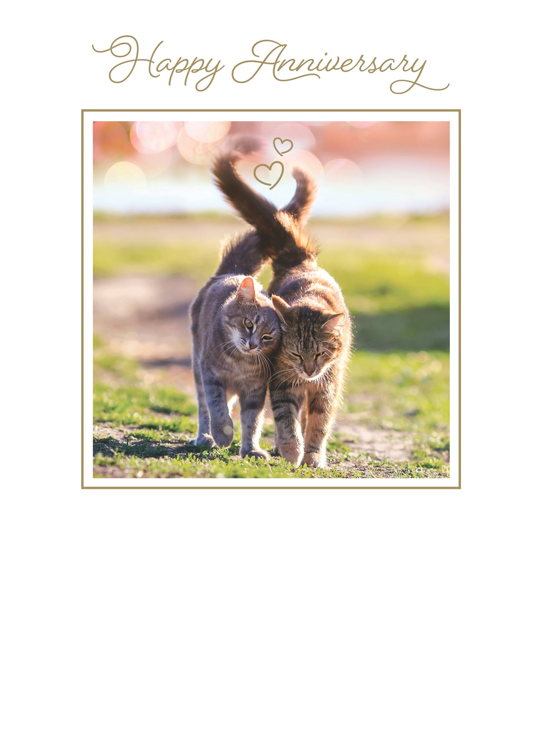 otter-house-anniversary-card-jahrestagskarte-katzen image 1