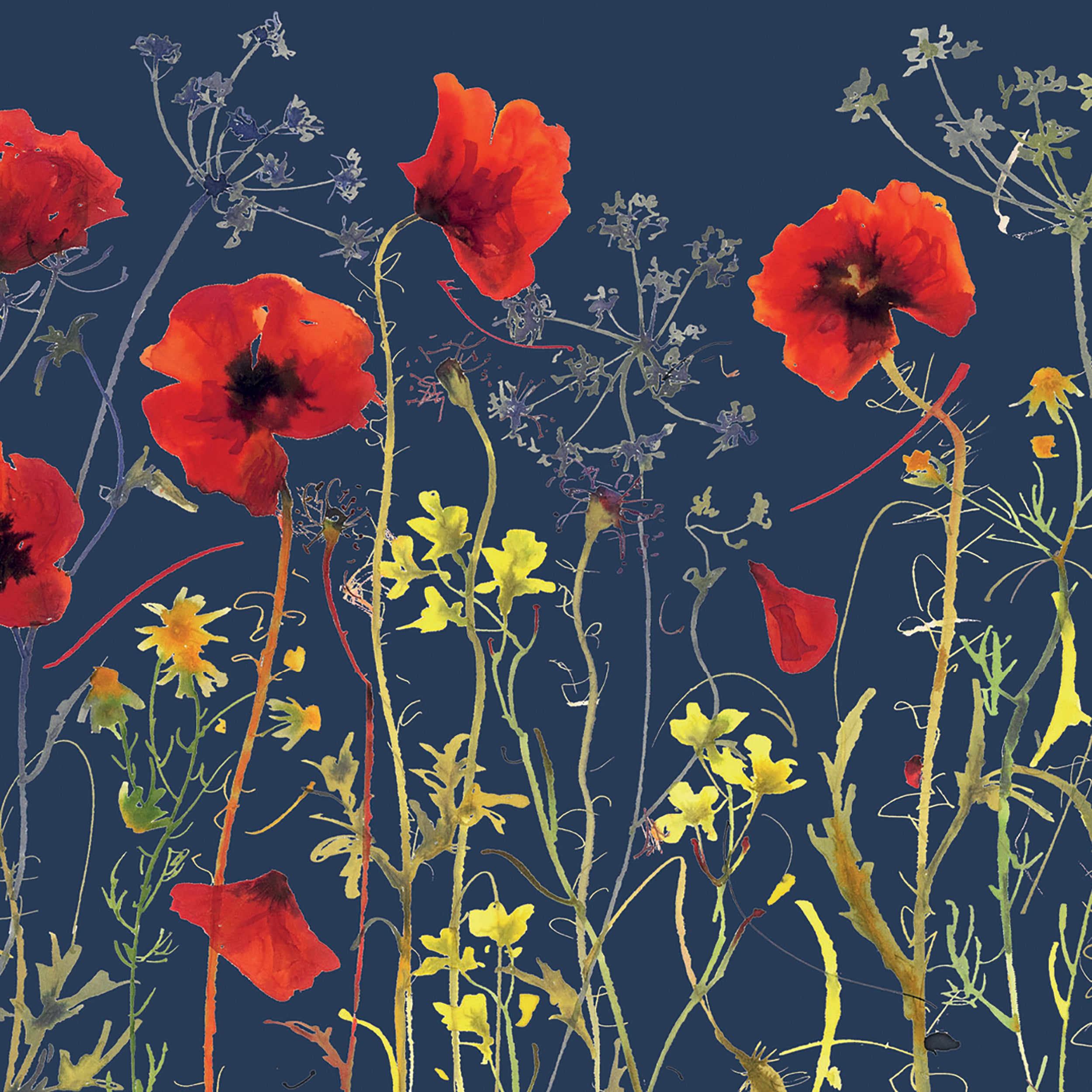 otter-house-watercolour-poppies-karten-set-10-karten-mohn image 3
