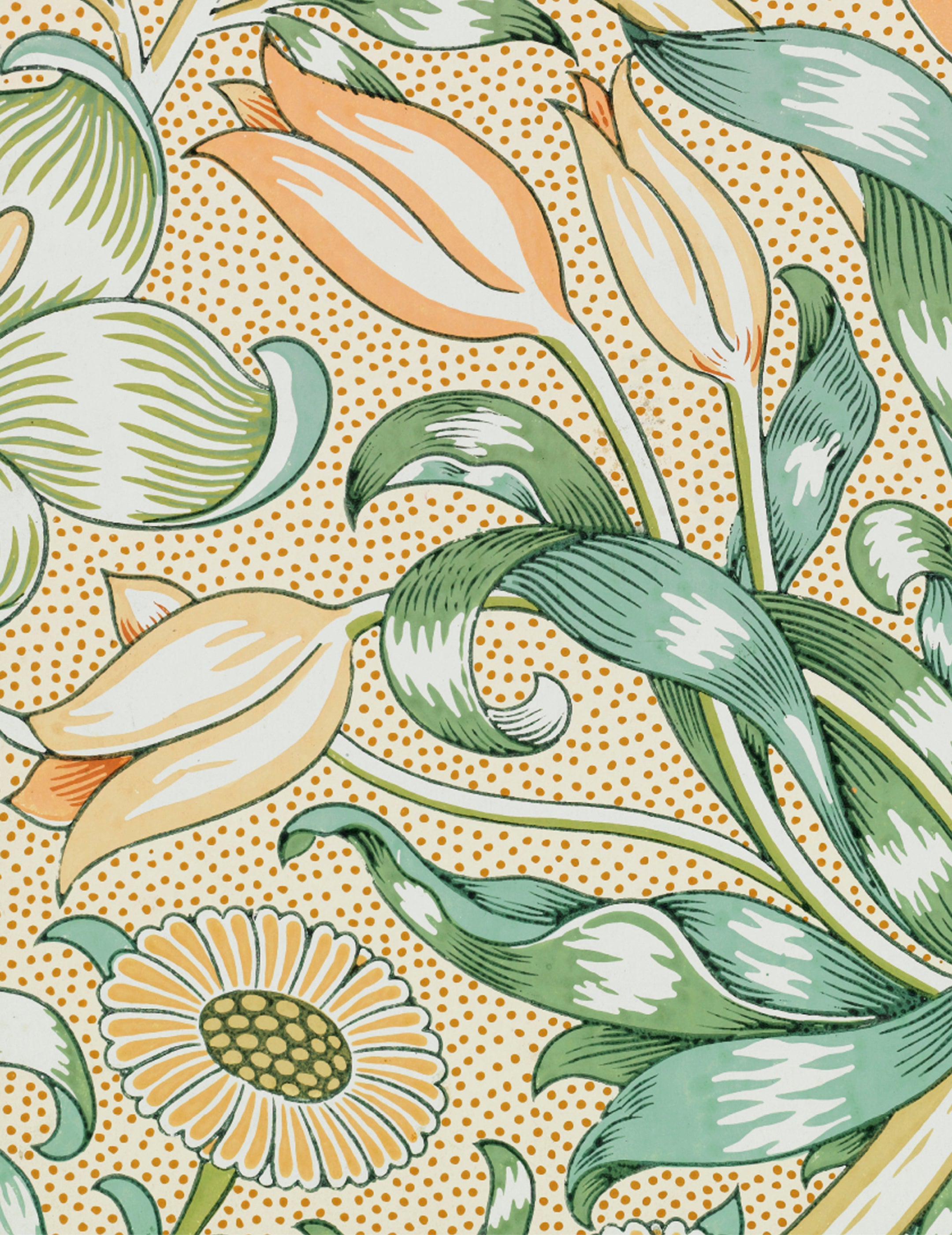 pomegranate-william-morris-kartenbox-gru-karten-florale-muster image 3