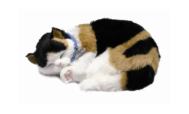 otter-house-precious-petzzz-pl-schkatze-calico-cat-mit-bett image 1