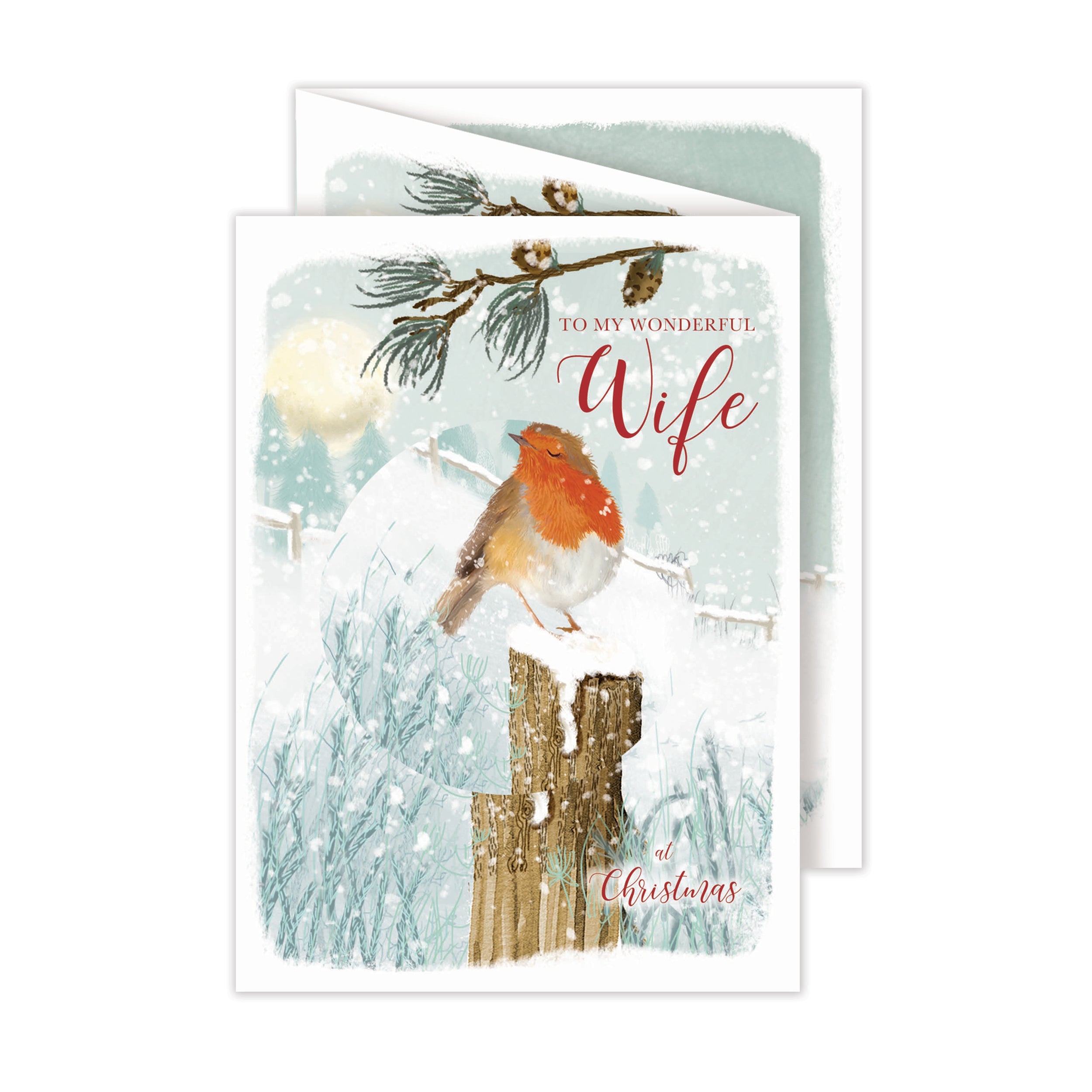 otter-house-wife-robin-weihnachtskarte-rotkehlchen image 1