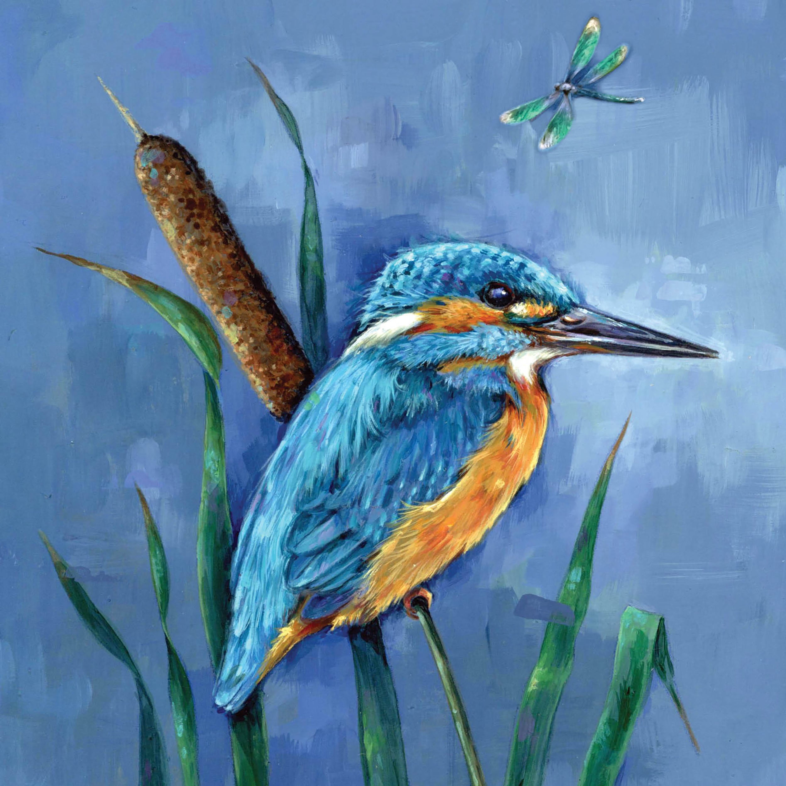 otter-house-wild-friends-gru-karte-eisvogel-kingfisher image 1