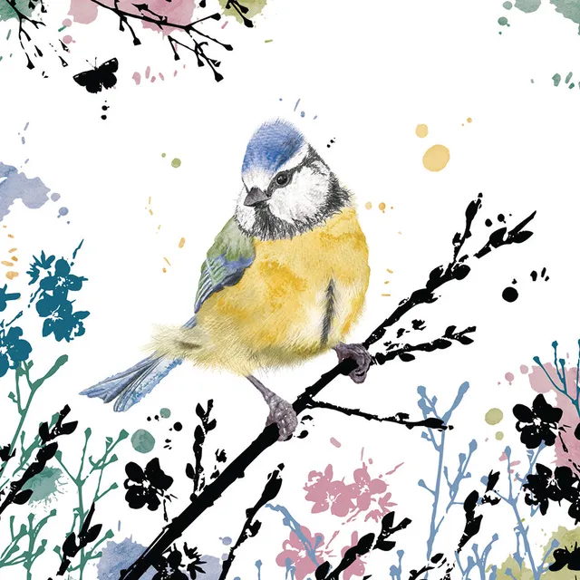 otter-house-rspb-field-forest-blue-tit-gru-karte-blaumeise image 1