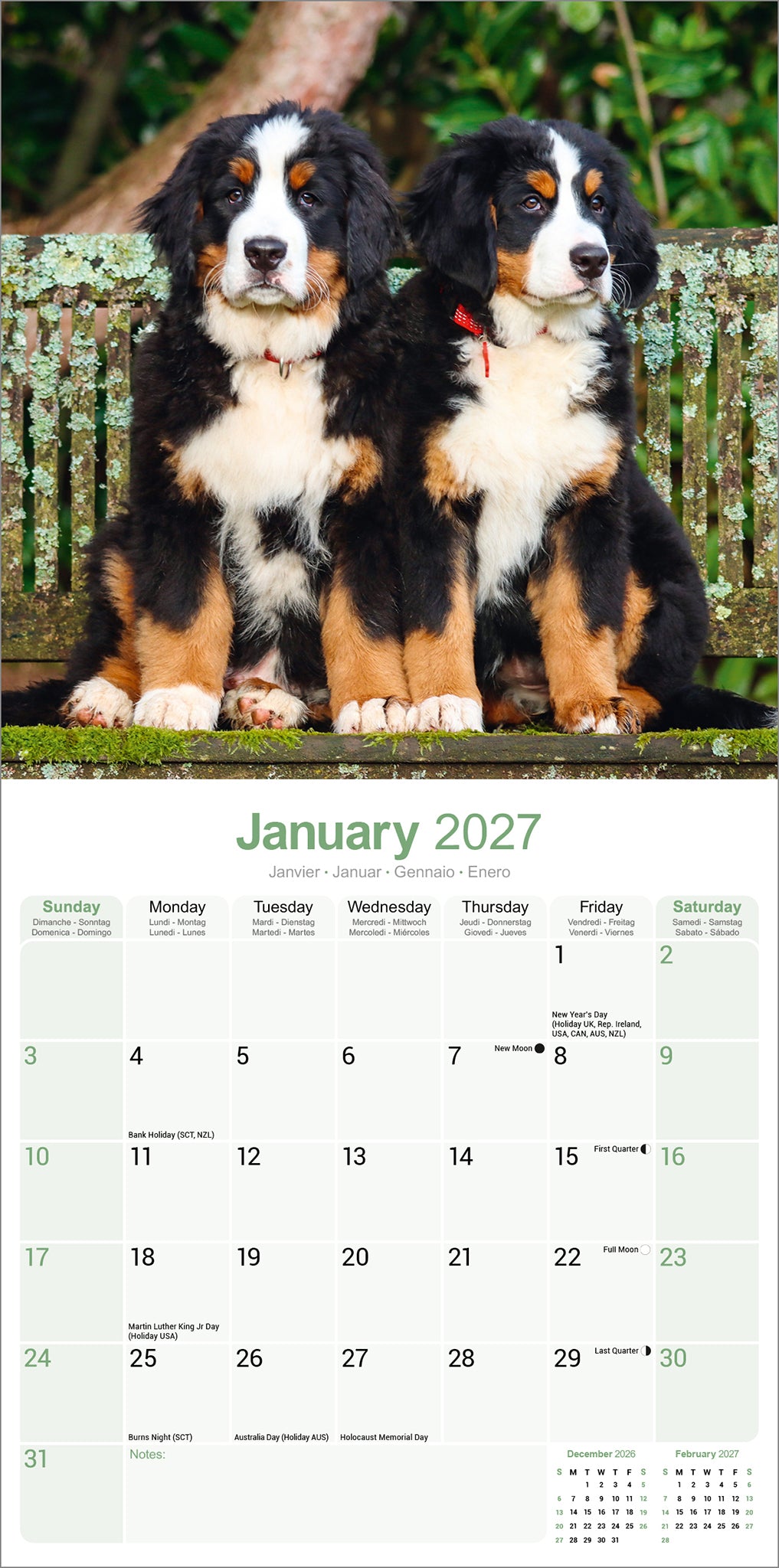 otter-house-berner-sennenhund-wandkalender-2027-hunde image 3