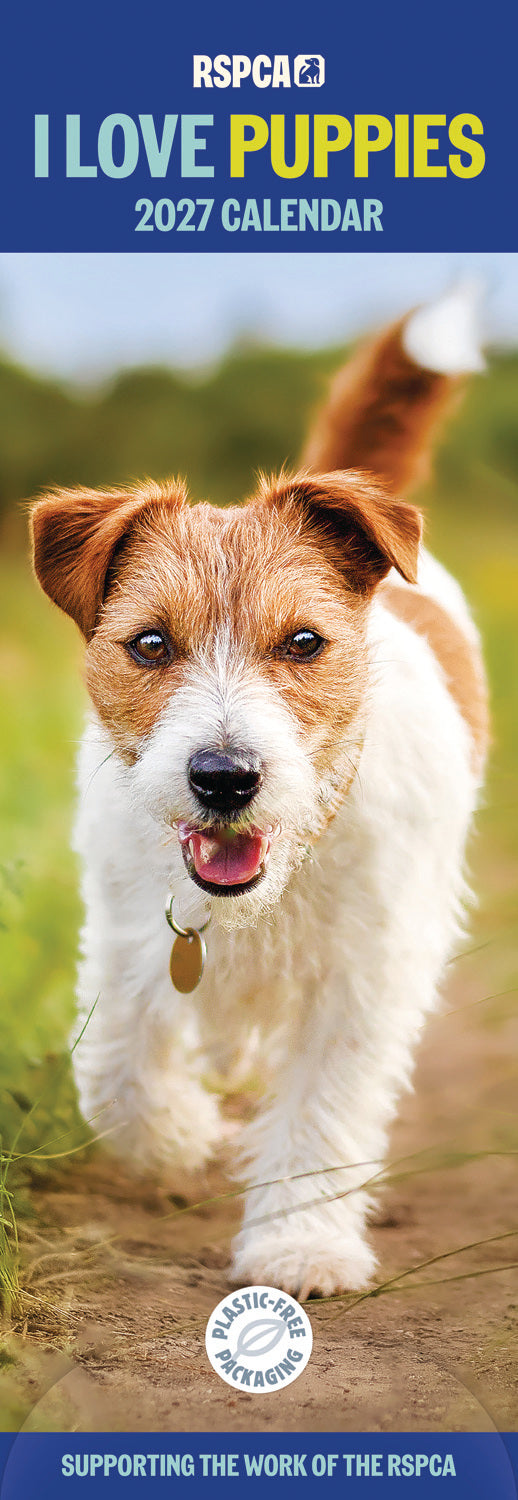 otter-house-puppies-rspca-slim-kalender-2027-hunde image 1