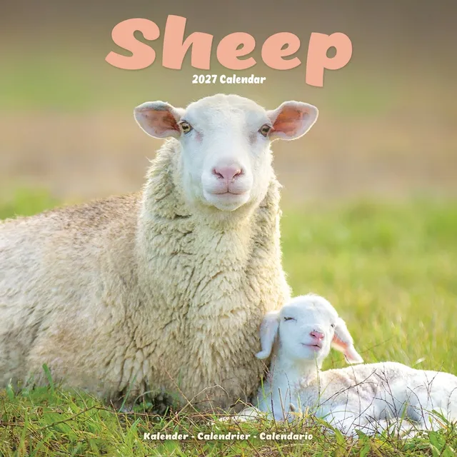 otter-house-sheep-wall-calendar-2027-wandkalender-schafe image 1