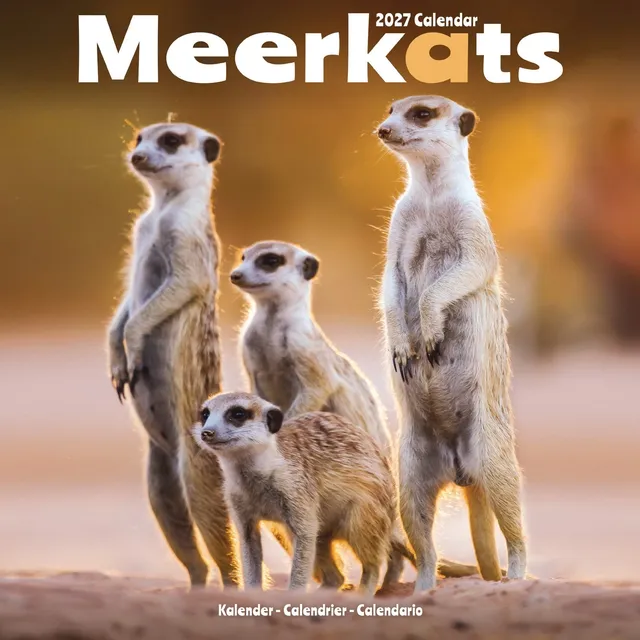 otter-house-meerkats-wandkalender-2027-erdm-nnchen image 1