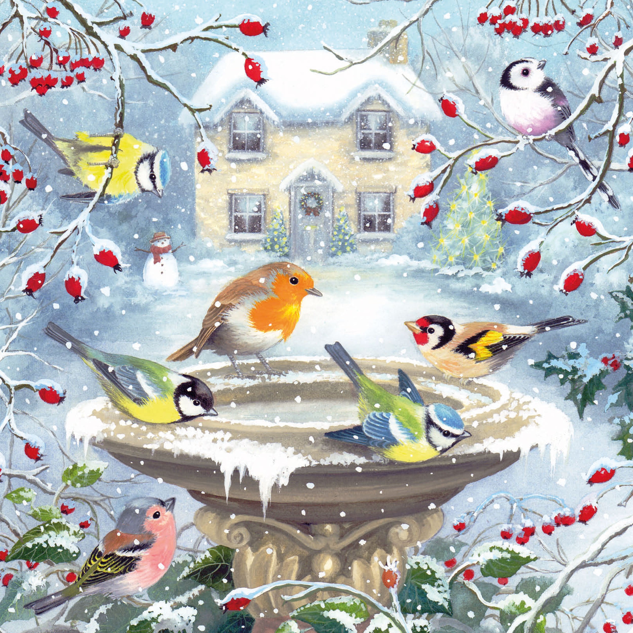 otter-house-christmas-birdsong-weihnachtskarten-10-karten image 2