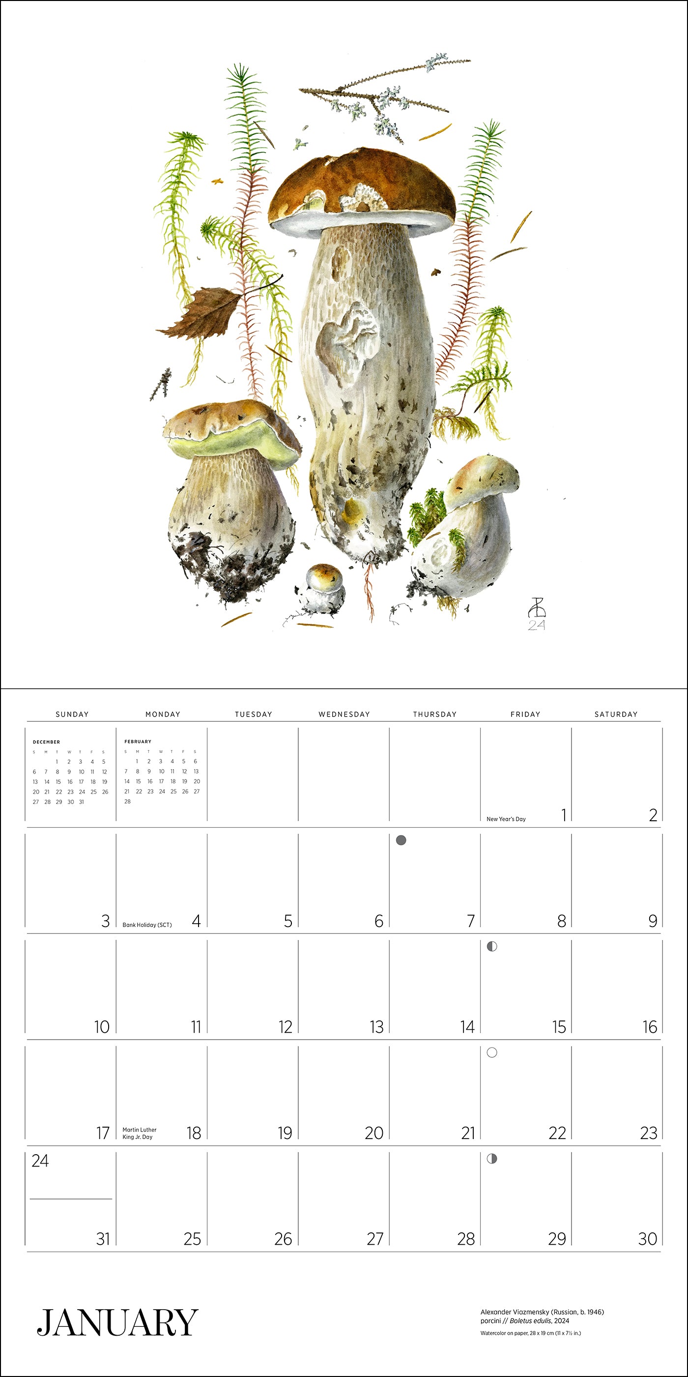 pomegranate-mushrooms-alexander-viazmensky-2027-wandkalender image 2