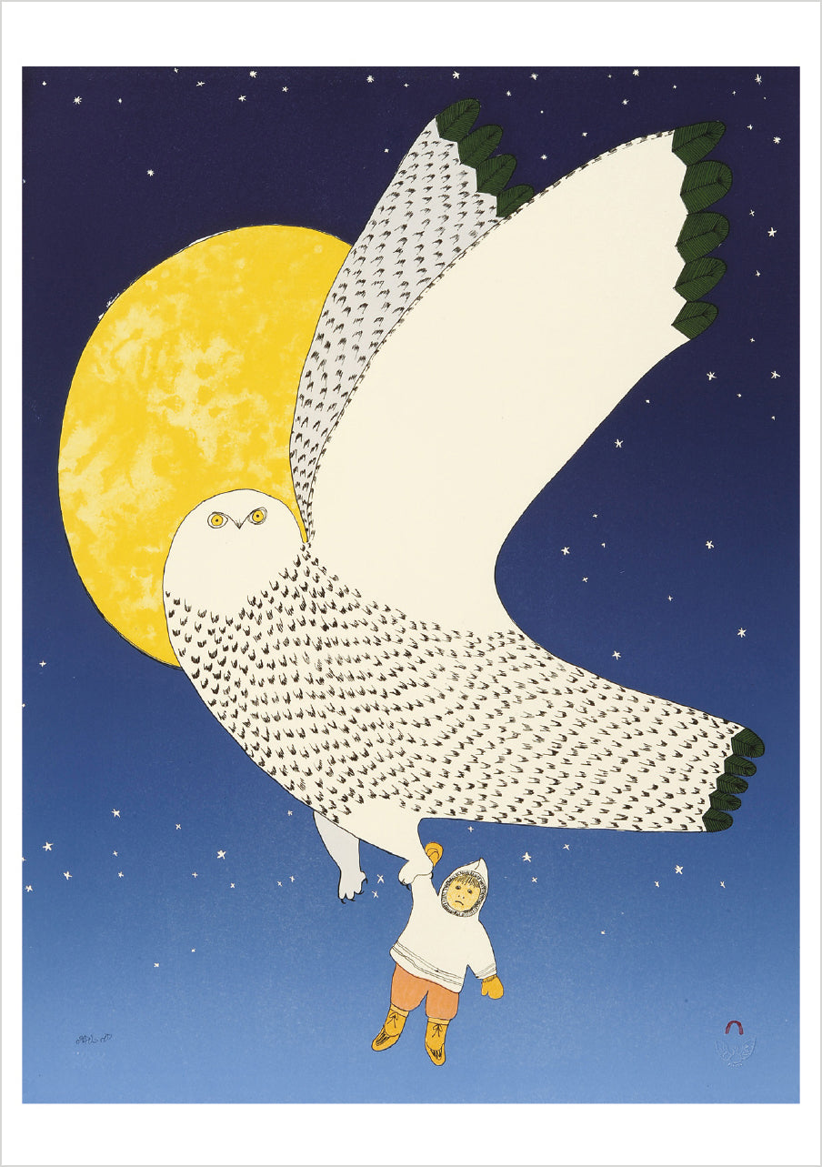 pomegranate-ningiukulu-teevee-owl-boy-klappkarte-blanko image 1