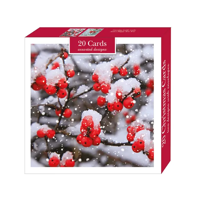 otter-house-christmas-falling-snow-weihnachtskarten-set-schnee image 1