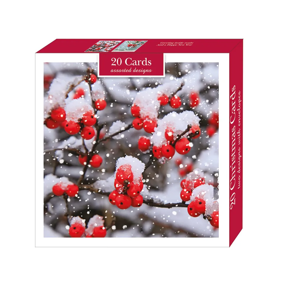 otter-house-christmas-falling-snow-weihnachtskarten-set-schnee image 1