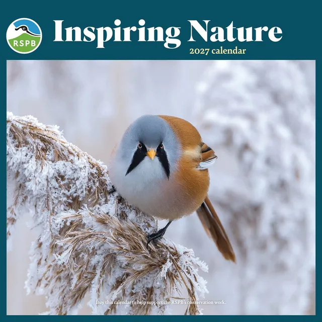 otter-house-rspb-inspiring-nature-wandkalender-2027 image 1