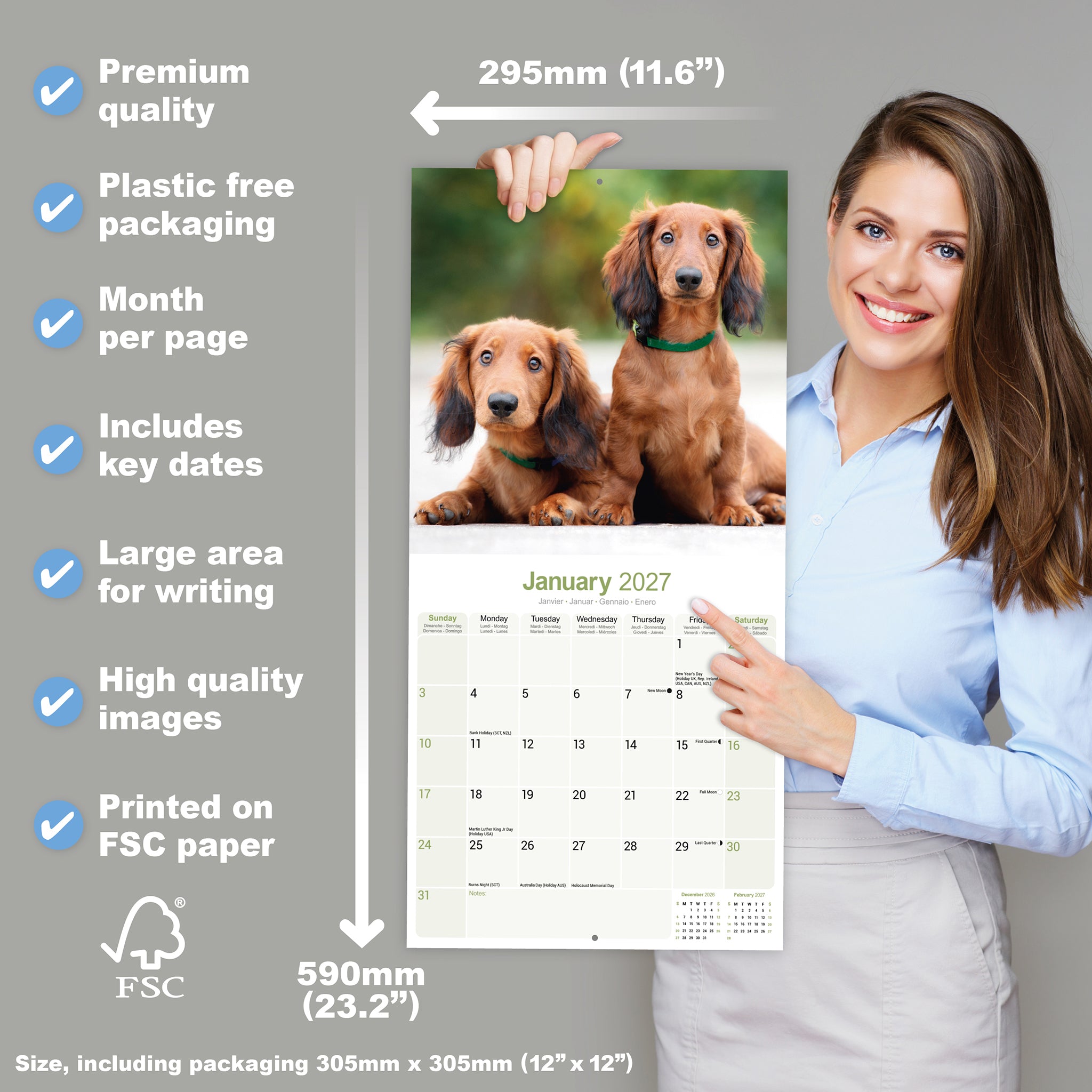 otter-house-dachshund-langhaar-wandkalender-2027-hunde image 4