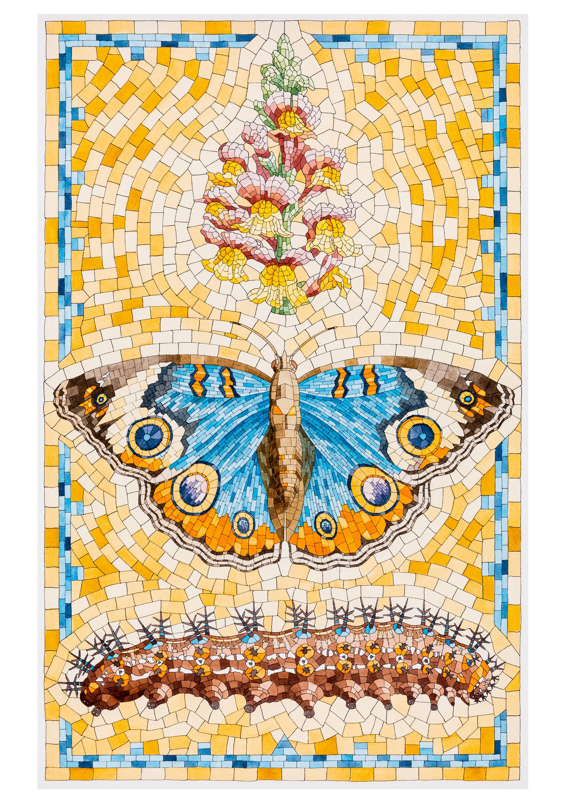 pomegranate-david-cohen-butterflies-karten-set-20-teilig image 3
