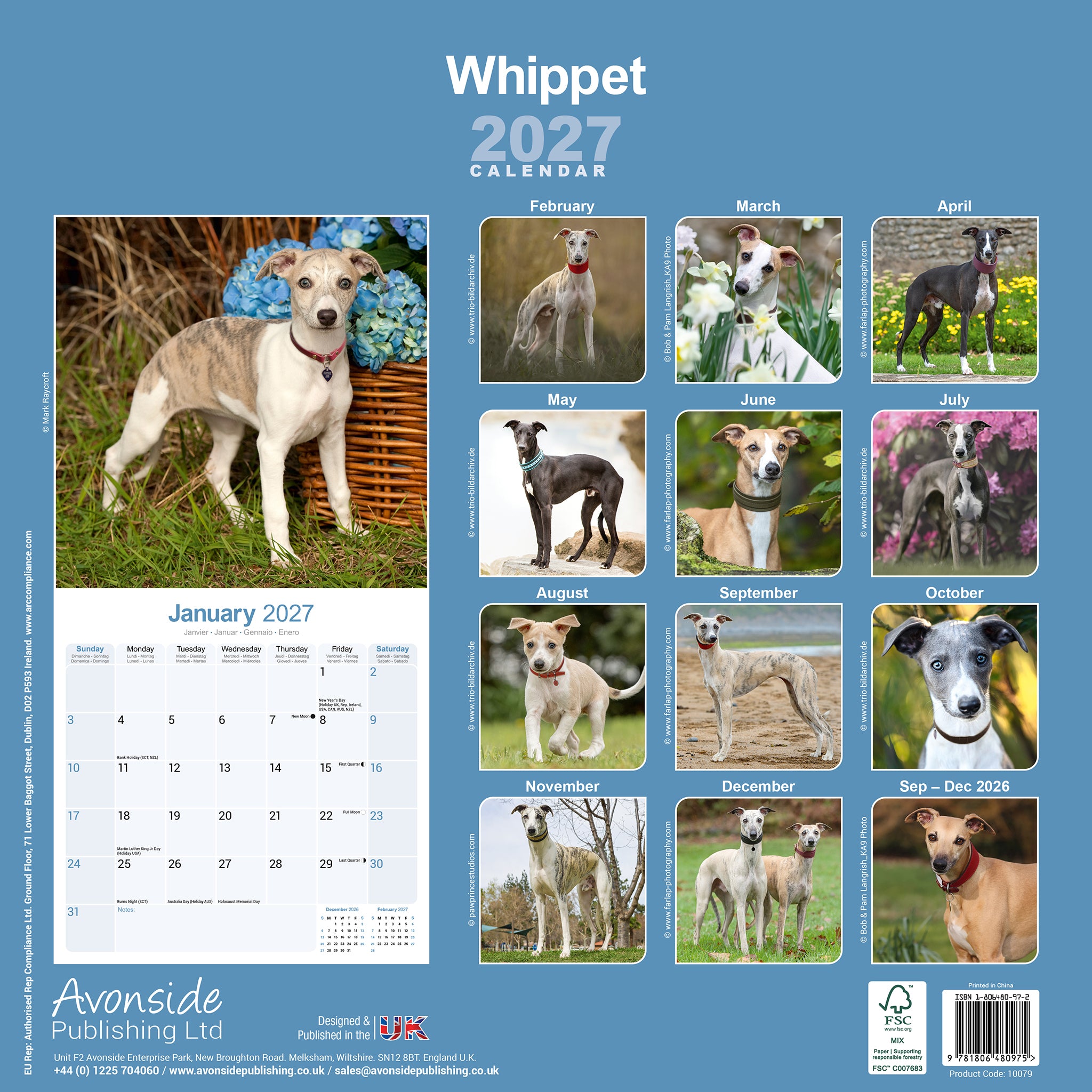 otter-house-whippet-wandkalender-2027-hundekalender image 2